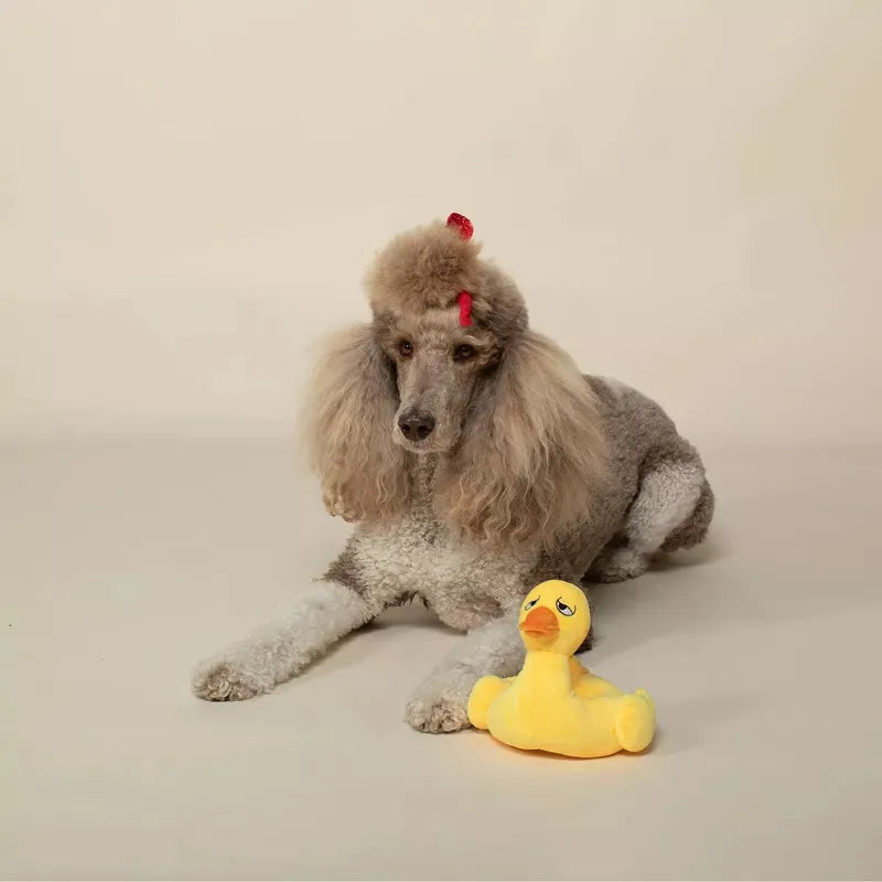 Juguete De Peluche Pato Mordible Para Perros Fringe